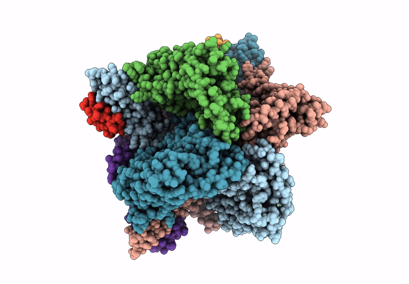 9O85 image