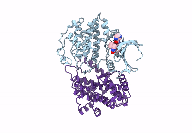 9OB3 image