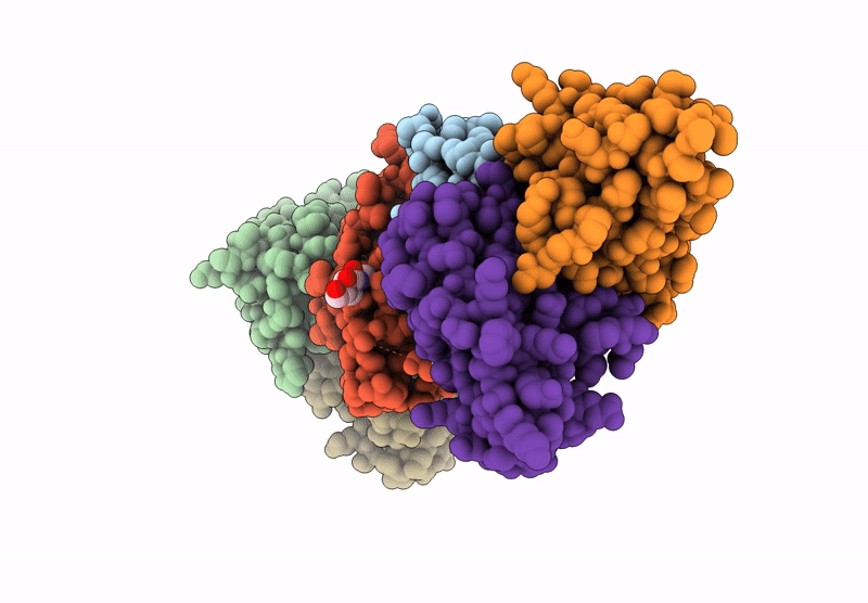 9ODB image