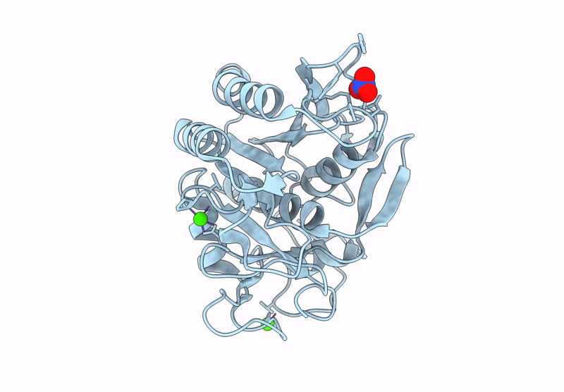 9ODV image