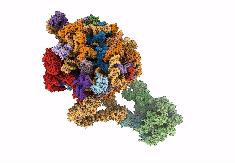 9OFV image