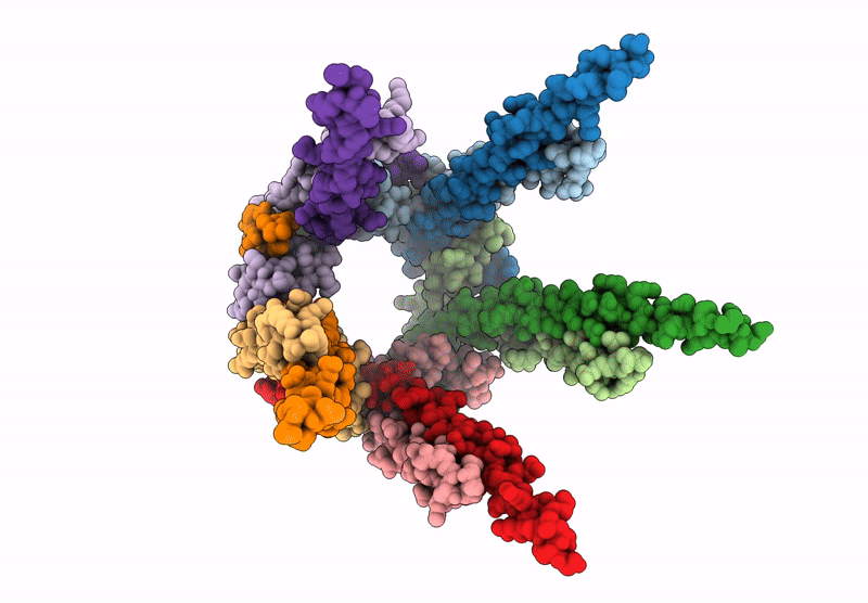 9OPB image