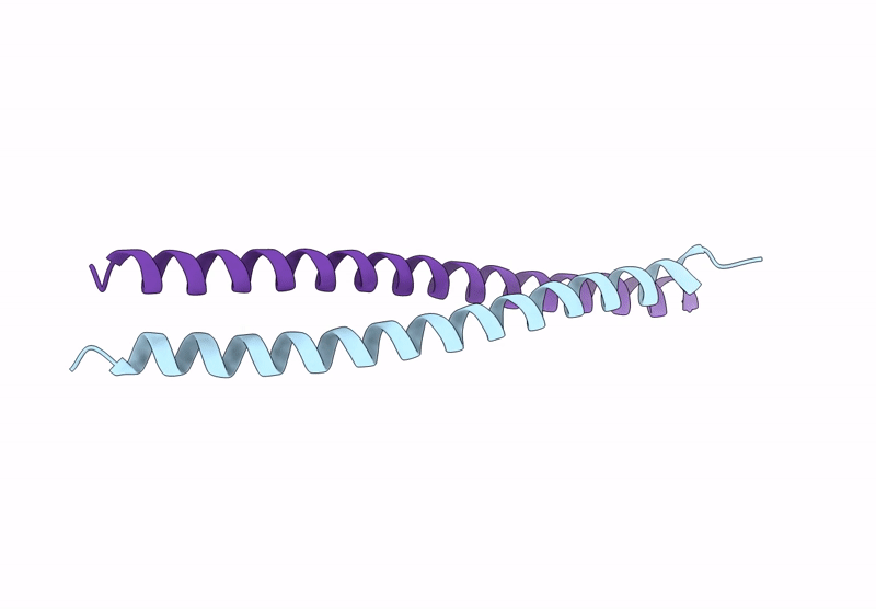 9OPF image