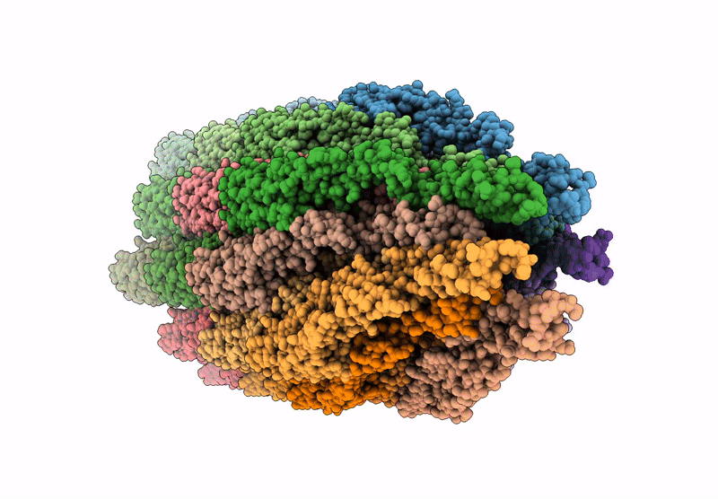 9OXK image