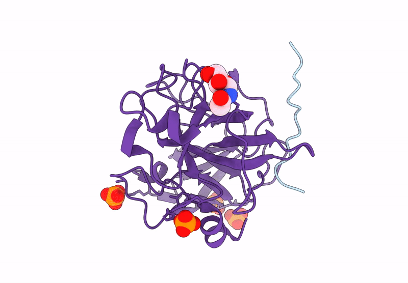9P1C image