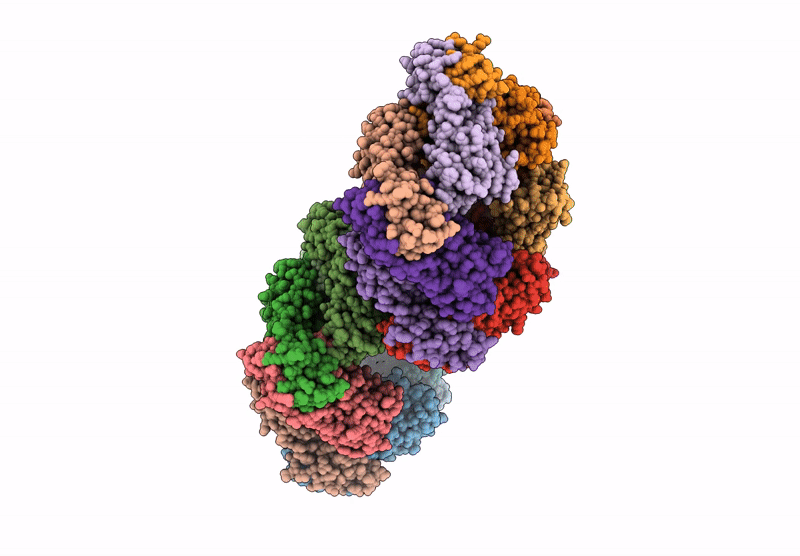 9P8Z image
