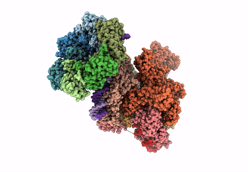 9Q90 image