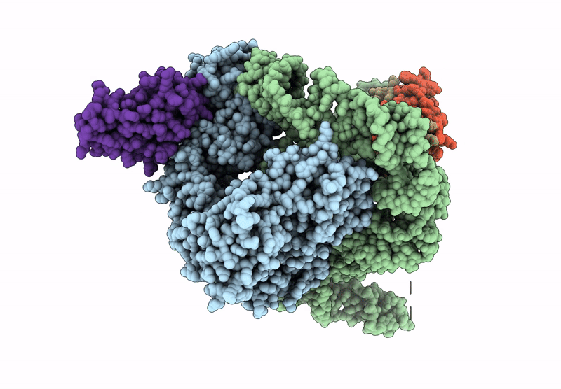 9QAX image