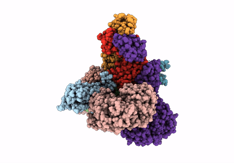 9QBJ image