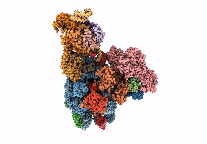 9QEQ image
