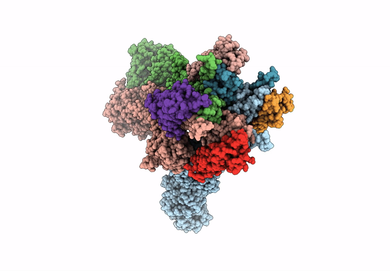 9QFH image
