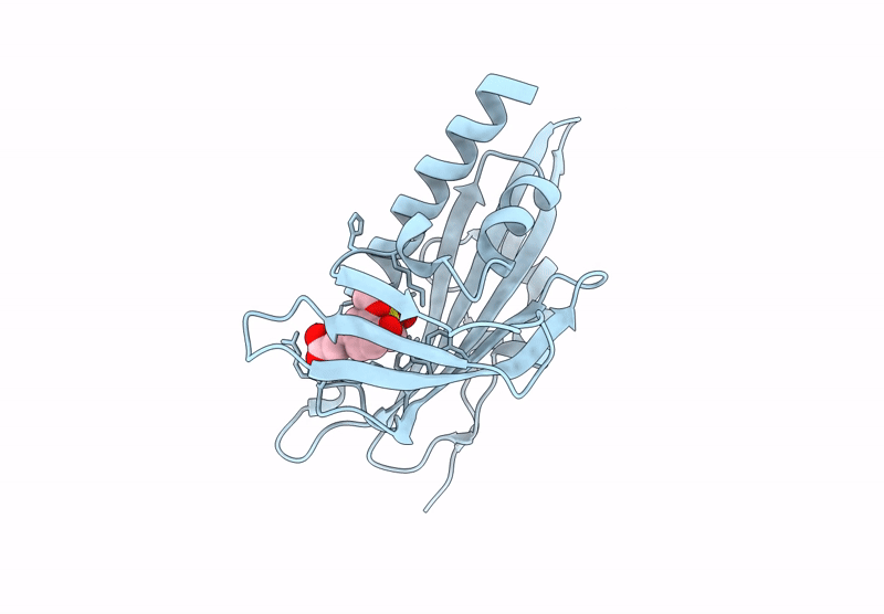 9QK4 image