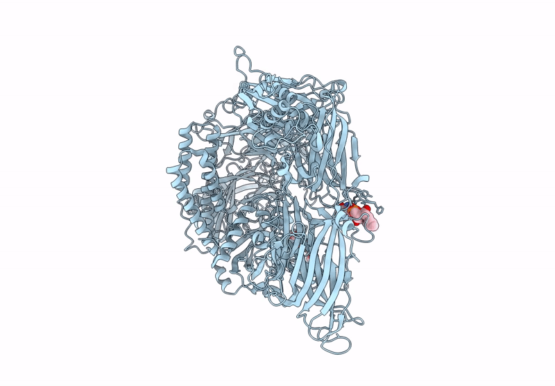 9QKV image
