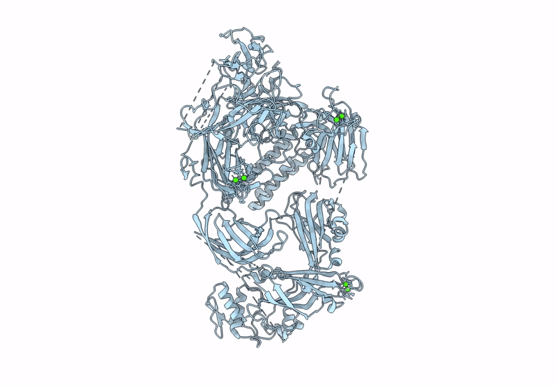 9QLS image
