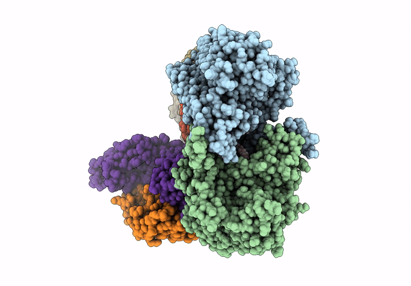 9QUB image