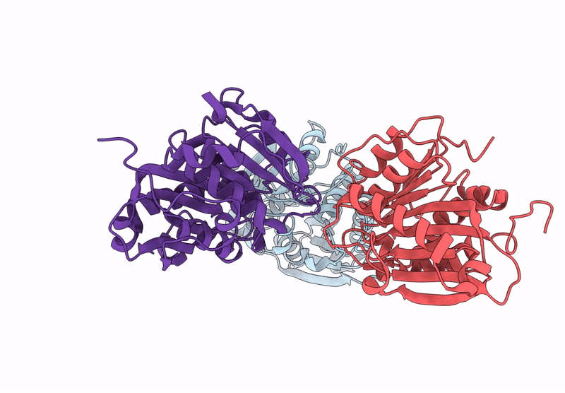 9QYP image