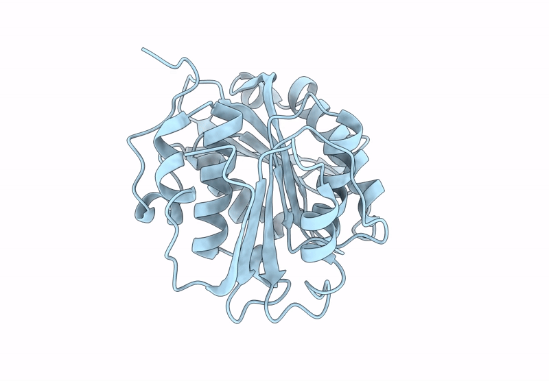 9QYR image