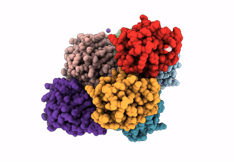 9R2L image