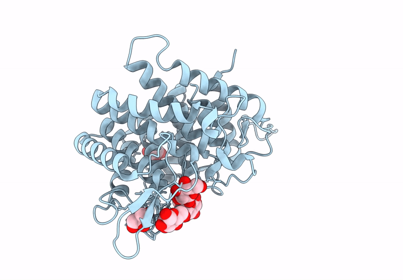 9R4T image