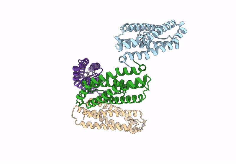 9R7J image
