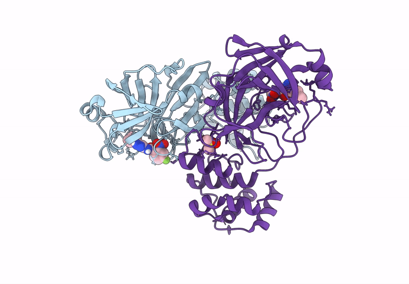 9RHT image