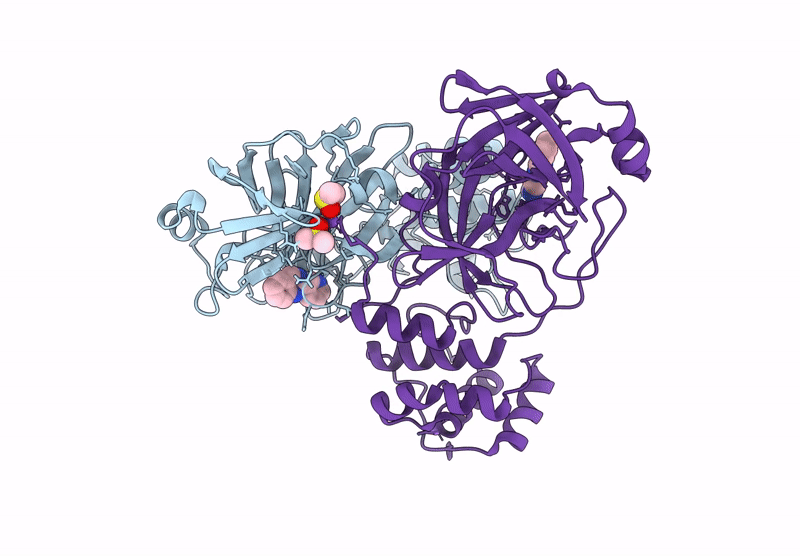 9RHX image