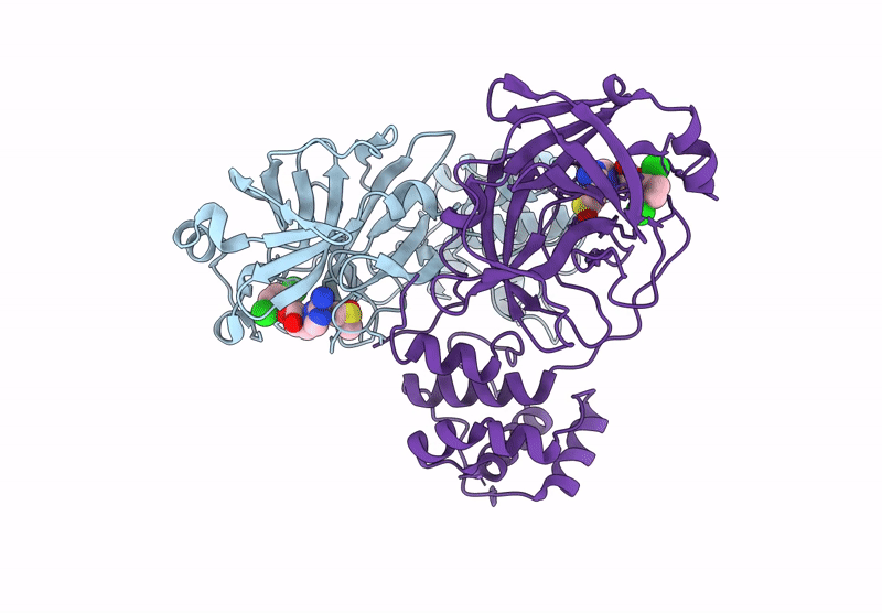 9RJ3 image