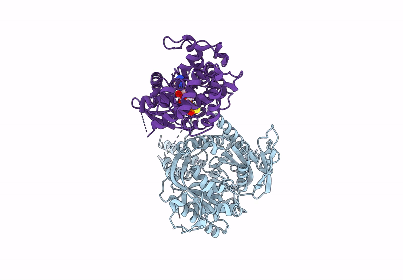 9U3P image