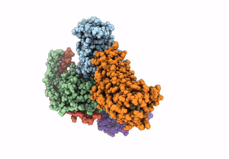 9U4W image