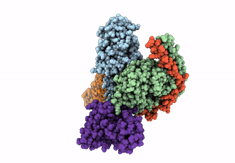 9U4Y image