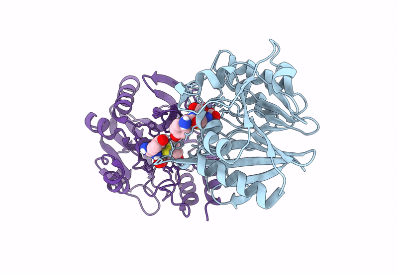 9U9C image