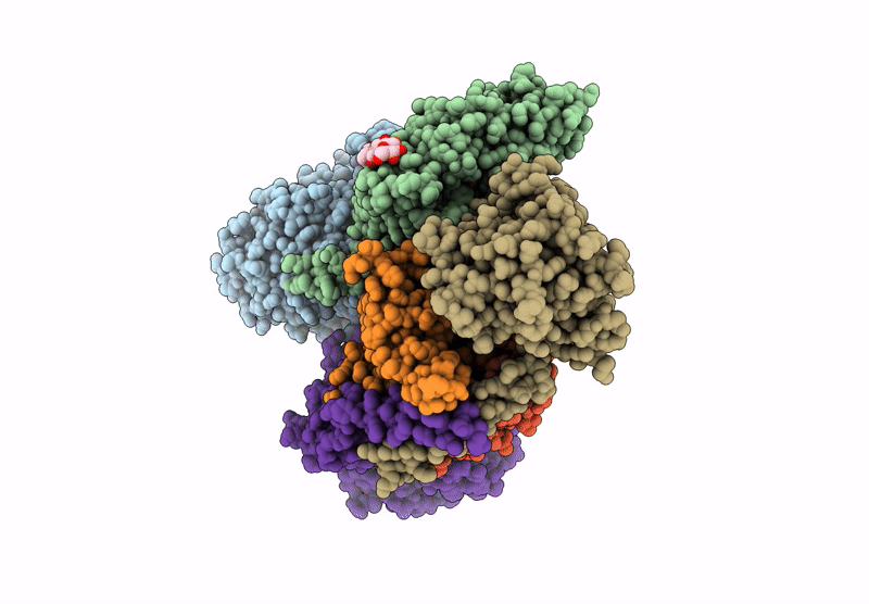 9UD2 image