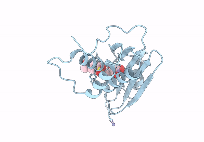 9UOA image