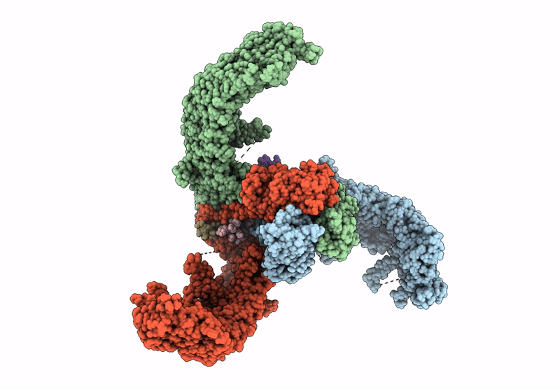 9VMX image