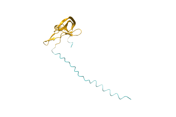 AF-A0A023FBW7-F1 image