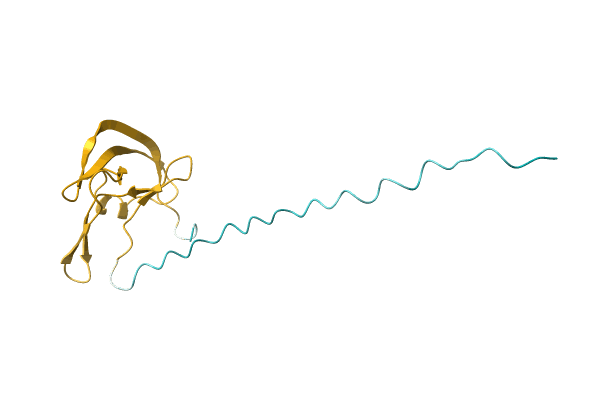 AF-A0A023FDY8-F1 image