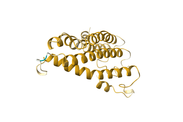 AF-A0A023GQB4-F1 image