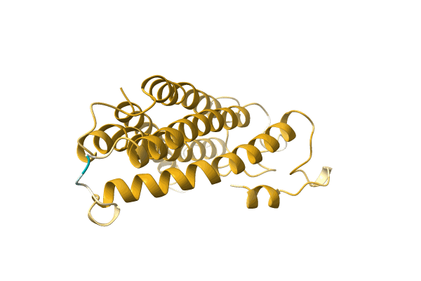 AF-A0A023TFE6-F1 image