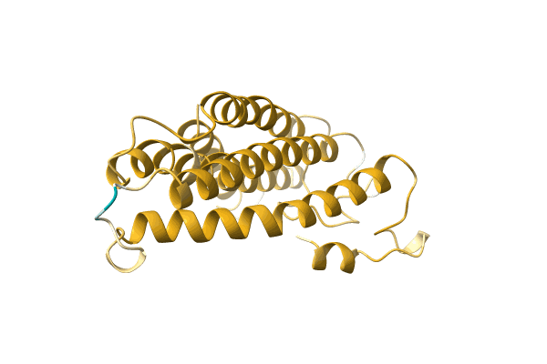 AF-A0A023TKI2-F1 image