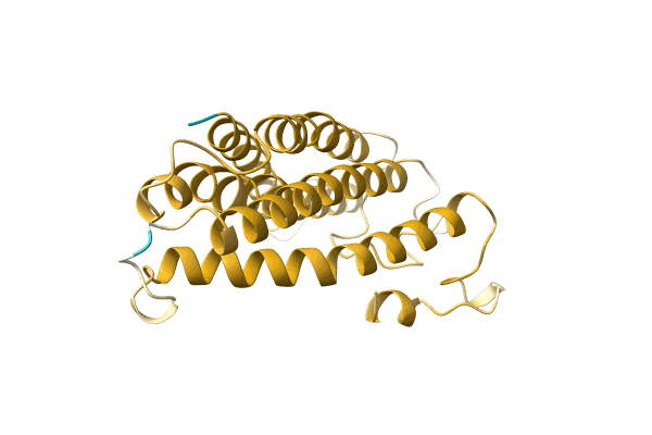 AF-A0A023TUR1-F1 image