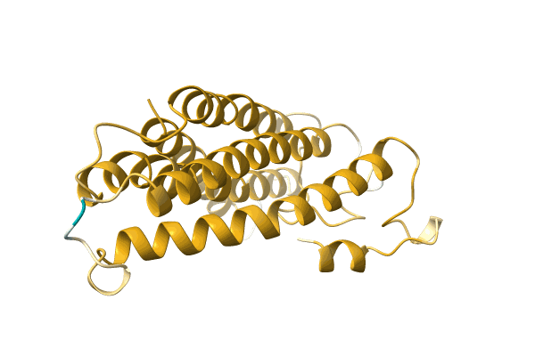 AF-A0A023TYP2-F1 image