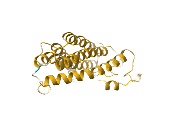 AF-A0A023U2I8-F1 image