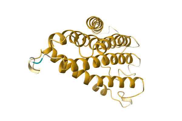 AF-A0A023UA53-F1 image