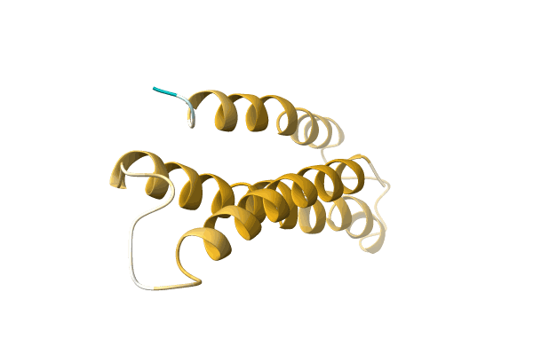 AF-A0A059SMQ1-F1 image