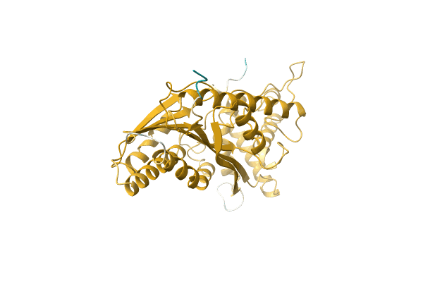 AF-A0A061FKL9-F1 image