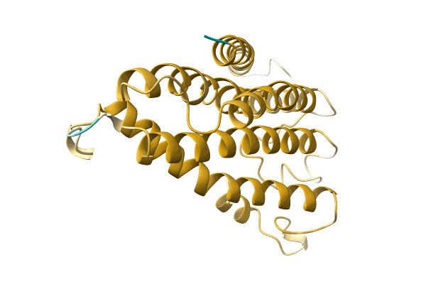 AF-A0A067ZEI3-F1 image