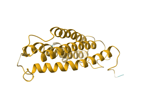 AF-A0A067ZEM3-F1 image