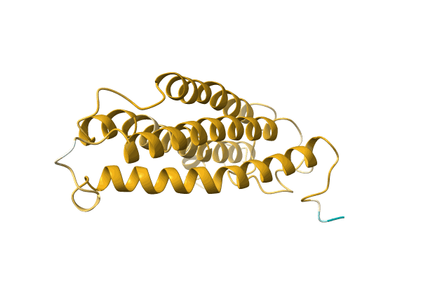 AF-A0A067ZEY0-F1 image