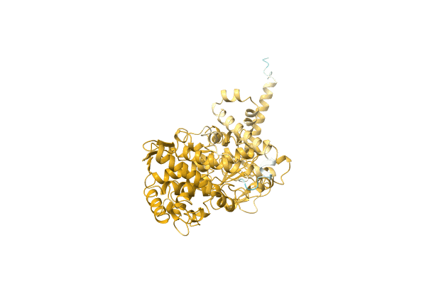 AF-A0A068A9T2-F1 image