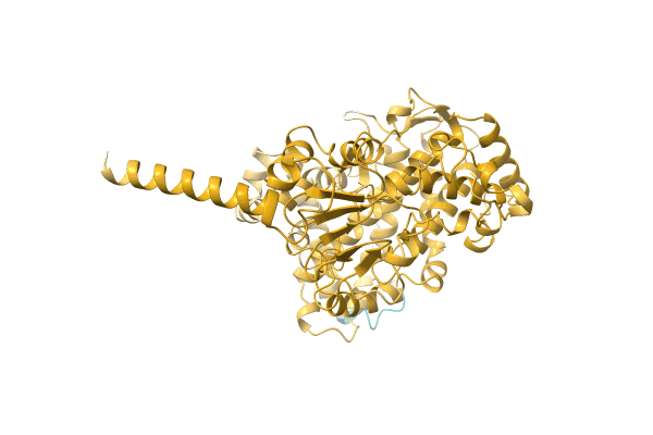 AF-A0A068ACU3-F1 image